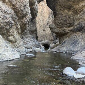 Meet your Posher, Julia